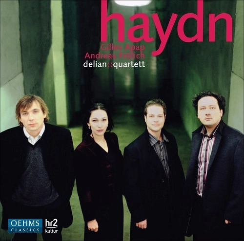 DELIAN QUARTETT / デリアン四重奏団 / HAYDN:STRING QUARTETS&CONCERTOS / HAYDN: STRING QUARTET