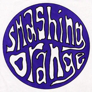 SMASHING ORANGE / スマッシング・オレンジ / NOT VERY MUCH TO SEE