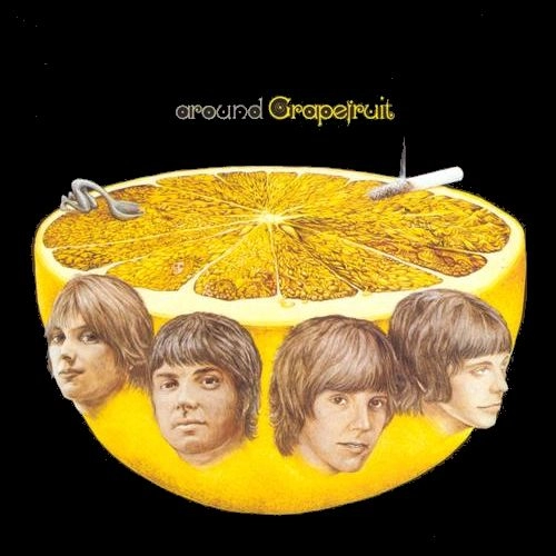 GRAPEFRUIT / グレープフルーツ / AROUND GRAPEFRUIT