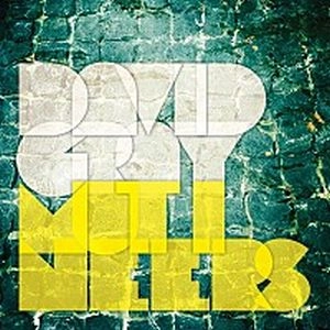 DAVID GRAY / デヴィッド・グレイ / ミューティニアーズ / MUTINEERS
