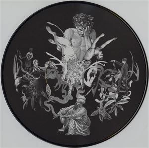 ANDREAS MARTIN & CHRISTOPH HEEMANN / LEBENSERINNERUNGEN EINES LEPIDOPTEROLOGEN