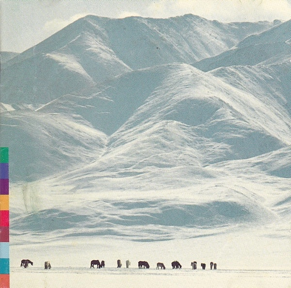 SHU-DE / VOICES FROM THE DIST