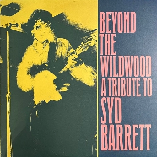 V.A. / BEYOND THE WILDWOOD