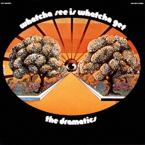 DRAMATICS / ドラマティックス / ホワッチャ・シー・イズ・ホワッチャ・ゲット
