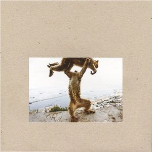 SHELLAC / シェラック / DUDE INCREDIBLE (LP)