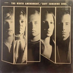 NINTH AMENDMENT / SOFT SUNSHINE SOUL