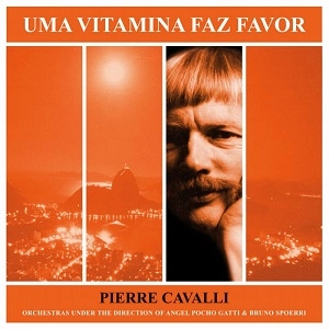 PIERRE CAVALLI / ピエール・カバッリ / UNA VITAMINA FAZ FAVOR(LP)