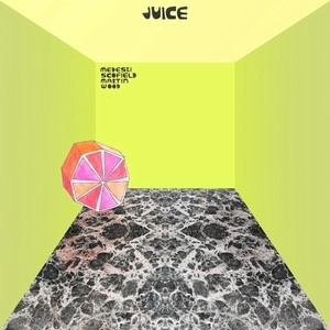 MEDESKI SCOFIELD MARTIN & WOOD / メデスキ・スコフィールド・マーチン&ウッド / JUICE(LP)