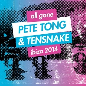 PETE TONG & TENSNAKE / ALL GONE PETE TONG & TESNAKE I