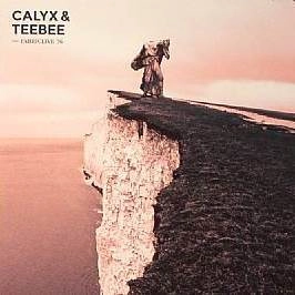 CALYX AND TEEBEE / CALYX & TEEBEE / FABRICLIVE 76