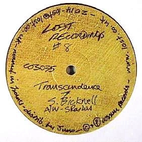 STEVE BICKNELL / スティーヴ・ビックネル / LOST RECORDINGS 8: TRANSCENDENCE