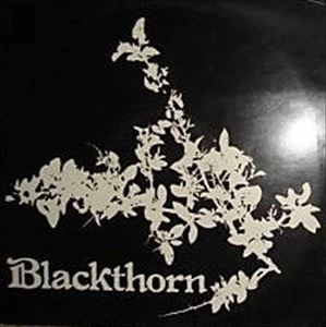 BLACKTHORN / ブラックソーン / BLACKTHORN