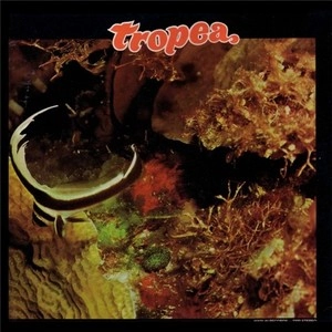 JOHN TROPEA / ジョン・トロペイ / トロペイ
