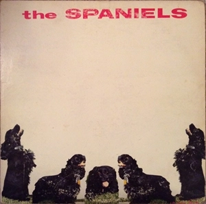SPANIELS / スパニエルズ / SPANIELS