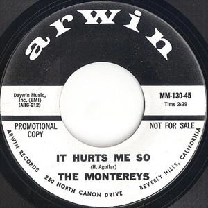 MONTEREYS / IT HURTS ME SO