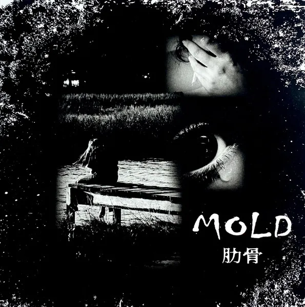 MOLD / 肋骨