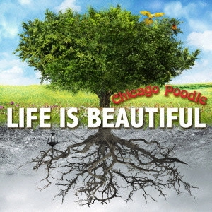 Chicago Poodle / シカゴ・ブードル / Life is Beautiful / LIFE IS BEAUTIFUL