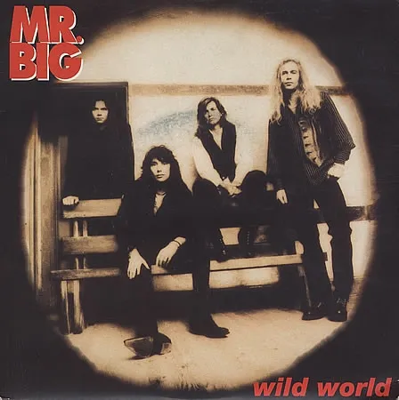 MR.BIG / ＭＲ．ＢＩＧ / WILD WORLD