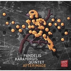 PANDELIS KARAYORGIS / AFTERIMAGE