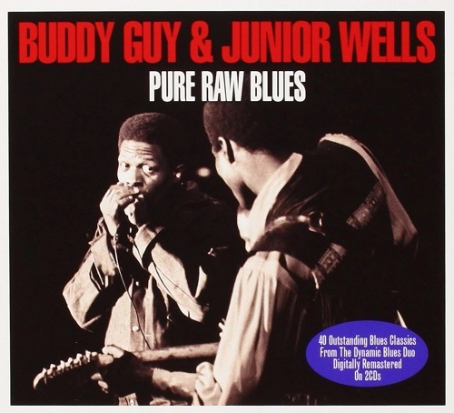 BUDDY GUY & JUNIOR WELLS / バディ・ガイ&ジュニア・ウェルズ / PURE RAW BLUES