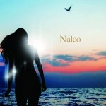 Nalco / Ｎａｌｃｏ