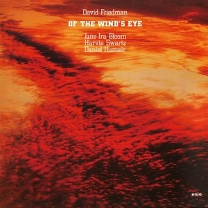 DAVID FRIEDMAN / デヴィッド・フリードマン / オブ・ザ・ウィンズ・アイ / OF THE WIND'S EYE