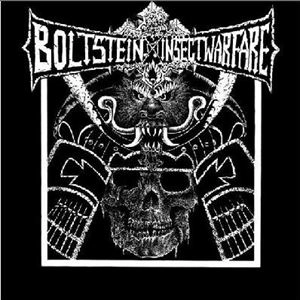 BOLTSTEIN : INSECT WARFARE / SPLIT (7") / SPLIT