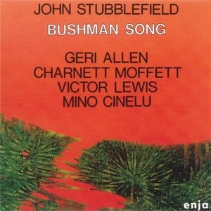 JOHN STUBBLEFIELD / ジョン・スタッブルフィールド / ブッシュマン・ソング / BUSHMAN SONG