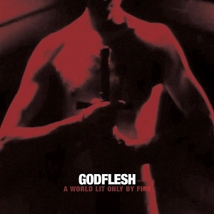 GODFLESH / ゴッドフレッシュ / ア・ワールド・リット・オンリー・バイ・ファイアー / A WORLD LIT ONLY BY FIRE