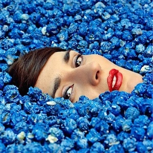 YELLE / イェール / COMPLETEMENT FOU