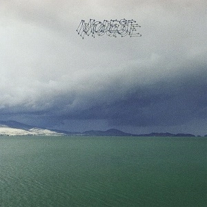 MODEST MOUSE / モデスト・マウス / FRUIT THAT ATE IT SELF