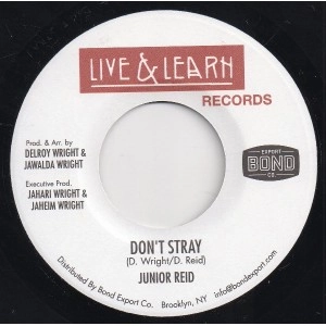 JUNIOR REID / ジュニア・リード / DON'T STRAY