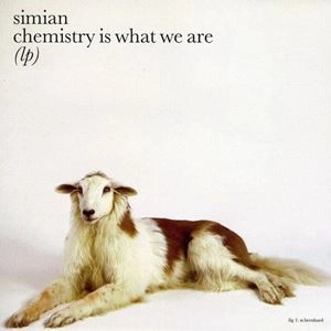 SIMIAN / シミアン / CHEMISTRY IS WHAT WE ARE