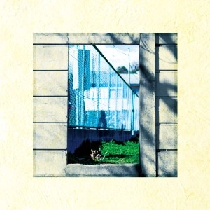 deid / SCENE