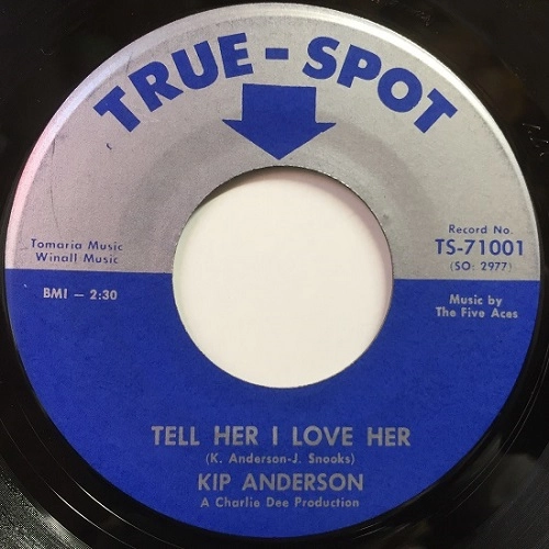 KIP ANDERSON / TELL HER I LOVE HER
