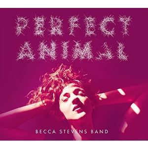 BECCA STEVENS / ベッカ・スティーヴンス / パーフェクト･アニマル / PERFECT ANIMAL