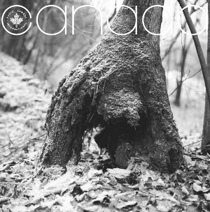 SADIK HAKIM / サディク・ハキム / CANADA