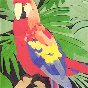 ALGERNON CADWALLADER / アルジャーノン・キャドウォラダー / PARROT FLIES