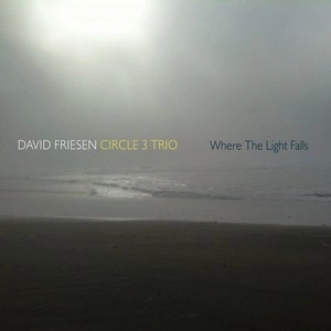 DAVID FRIESEN / デヴィッド・フリーゼン / WHERE THE LIGHT FALLS
