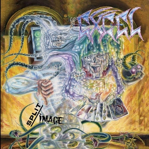 EXCEL (US) / エクセル / SPLIT IMAGE