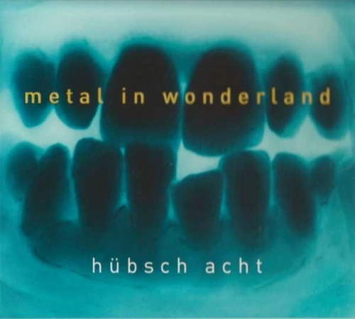 HUEBSCH ACHT / METAL IN WONDERLAND