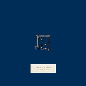 THIS WILL DESTROY YOU / ディス・ウィル・デストロイ・ユー / ANOTHER LANGUAGE (2LP) / ANOTHER LANGUAGE