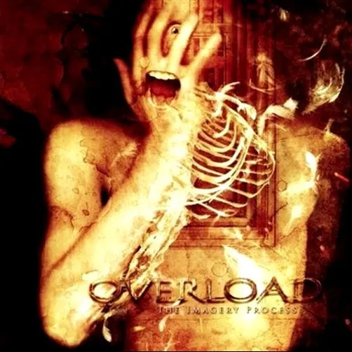 OVERLOAD / IMAGERY PROCESS