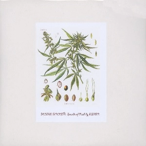 ESPER / エスパー(NOISE) / HOME GROWN: SOUNDS OF RUSH