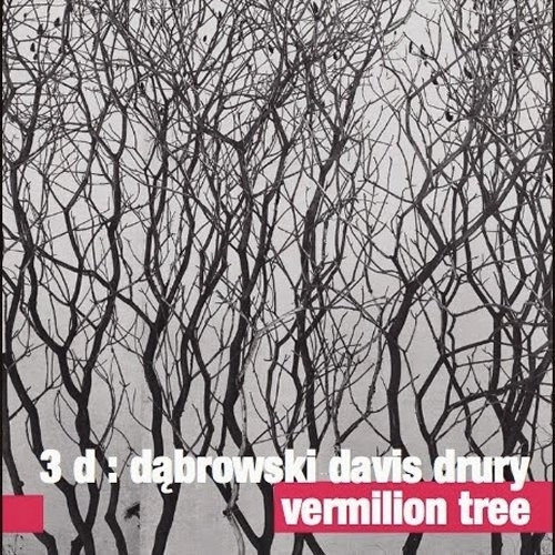 TOMASZ DABROWSKI / トマス・ダブロウスキ / VERMILION TREE