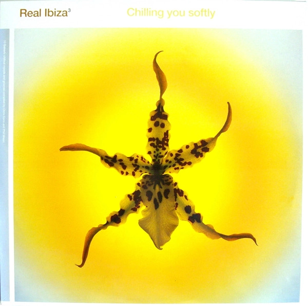 V.A. / CHILLING YOU SOFTLY