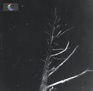 PETER BRODERICK / ピーター・ブロデリック / (COLOURS OF THE NIGHT) SATELLITE (12"+ CD) / (COLOURS OF THE NIGHT) SATELLITE