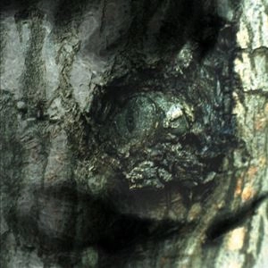 YANN TIERSEN / ヤン・ティルセン / WALTZ OF THE MONSTERS
