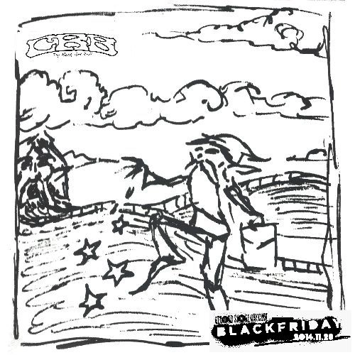 CHRIS ROBINSON BROTHERHOOD / クリス・ロビンソン・ブラザーフッド / TRY ROCK 'N' ROLL [12"]