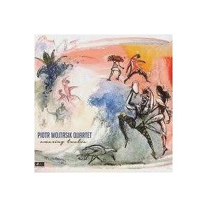 PIOTR WOJTASIK / ピョートルヴォイタシク / AMAZING TWELVE